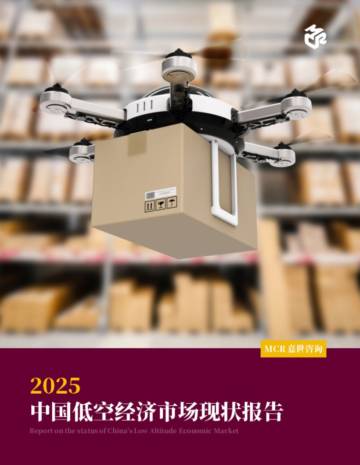 2025年中国低空经济市场现状报告.pdf