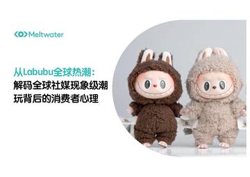 2025年从Labubu全球热潮：解码全球社媒现象级潮玩背后的消费者心理报告.pdf
