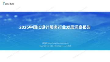 2025年中国IC设计服务行业发展洞察报告 .pdf