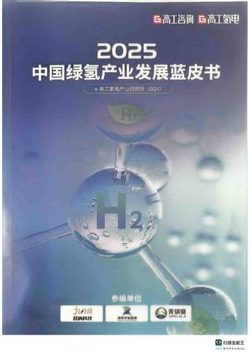 2025年中国绿氢产业发展蓝皮书.pdf
