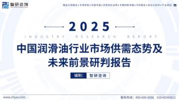 2025年中国润滑油行业市场供需态势及未来前景研判报告.pdf