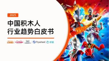 2025中国积木人行业趋势白皮书.pdf