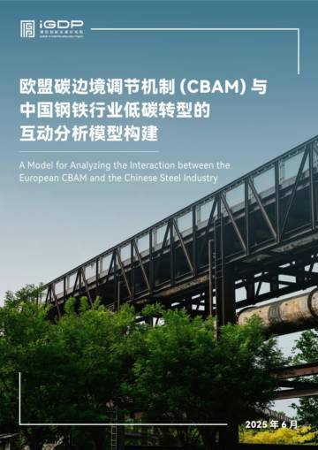 欧盟碳边境调节机制（CBAM）与中国钢铁行业低碳转型的互动分析模型构建.pdf