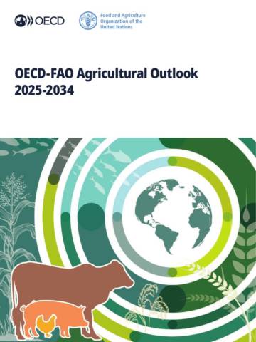 2025-2034年农业展望报告（英文）.pdf