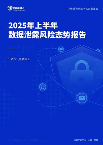 2025年上半年数据泄露风险态势报告.pdf