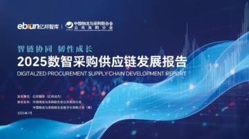 2025数智采购供应链发展报告.pdf