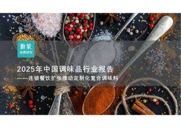 2025年中国调味品行业报告-连锁餐饮扩张推动定制化复合调味料.pdf