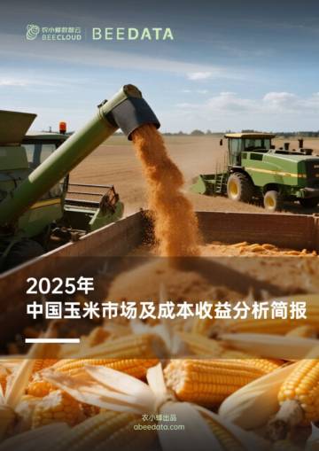 2025年中国玉米市场及成本收益分析简报.pdf