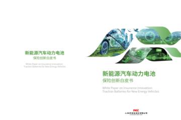 2025新能源汽车动力电池保险创新白皮书.pdf