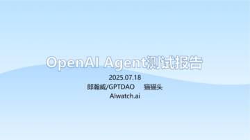 OpenAI Agent测试报告.pdf