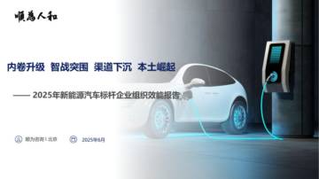 2025年新能源汽车行业标杆企业效能报告.pdf