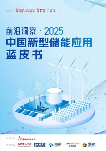 2025中国新型储能应用蓝皮书.pdf