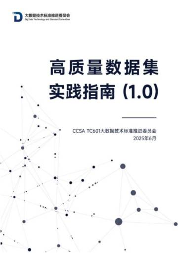2025高质量数据集实践指南（1.0）.pdf
