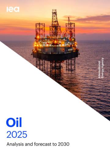 2025年全球石油行业报告（英文）.pdf