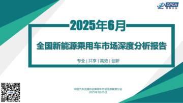 2025年6月份全国新能源市场深度分析报告.pdf