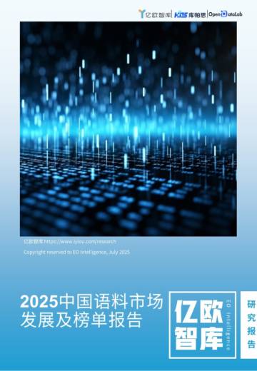 2025中国语料市场发展及榜单报告.pdf