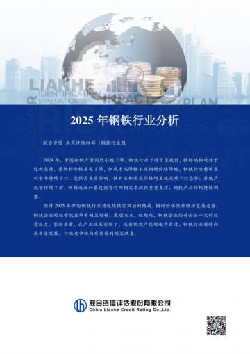 2025年钢铁行业分析.pdf