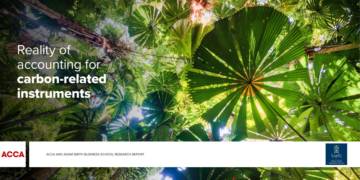 2025碳相关工具的会计处理现状研究报告（英文）.pdf