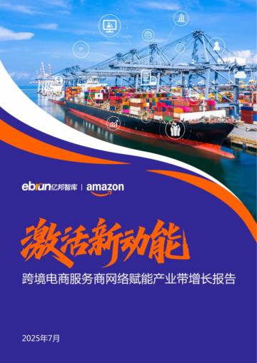 跨境电商服务商网络赋能产业带增长报告.pdf