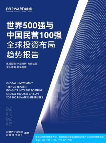 2025年世界500强与中国民营100强全球投资布局趋势报告.pdf