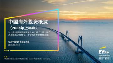 2025年上半年中国海外投资概览.pdf
