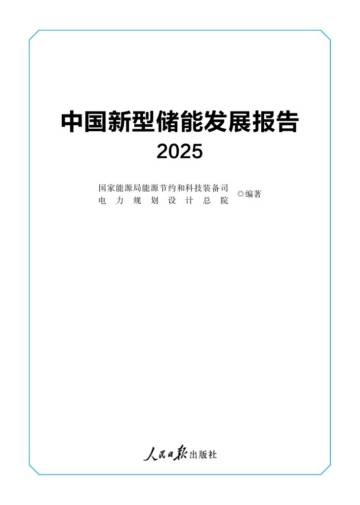 中国新型储能发展报告2025.pdf