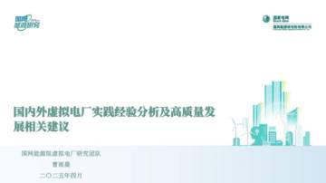 2025国内外虚拟电厂实践经验分析及高质量发展相关建议报告.pdf