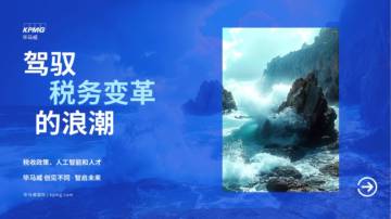 驾驭税务变革的浪潮.pdf