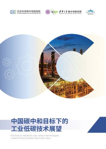 2025中国碳中和目标下的工业低碳技术展望报告.pdf