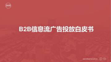 B2B信息流广告投放白皮书.pdf