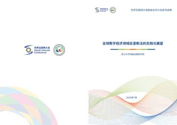 2025全球数字经济领域反垄断法的实践与展望报告.pdf