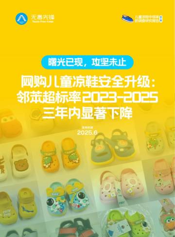 2025儿童凉鞋中邻苯的调查研究报告.pdf
