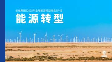 2025年全球能源转型报告.pdf