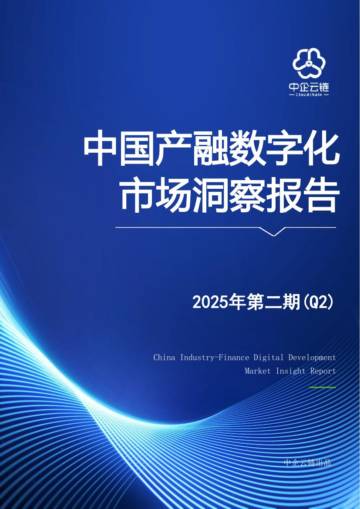 2025年Q2中国产融数字化市场洞察报告.pdf