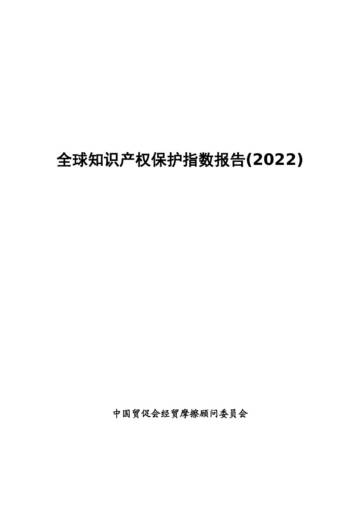 全球知识产权保护指数报告(2022).pdf