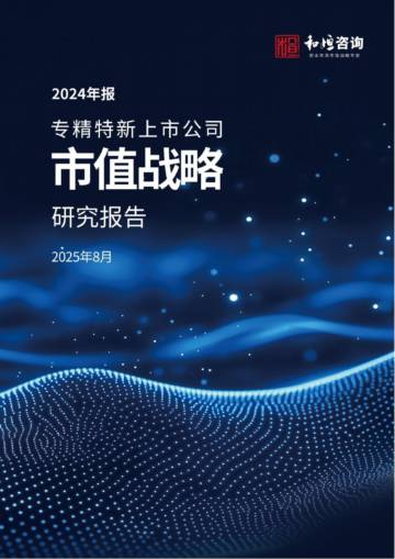 专精特新上市公司市值战略研究报告（2024年报）.pdf