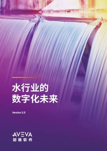 水行业的数字化未来.pdf