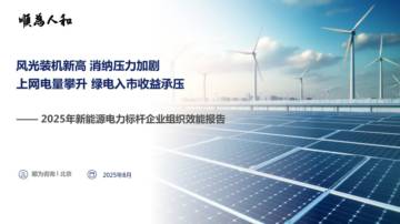 2025年新能源电力标杆企业组织效能报告.pdf