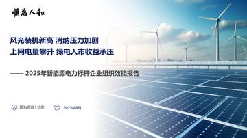 2025年新能源电力标杆企业组织效能报告.pdf