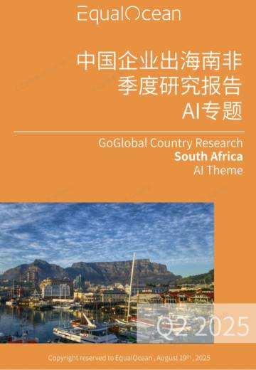 2025中国AI企业出海系列研究：南非篇.pdf