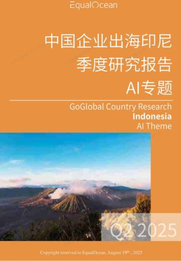 2025中国AI企业出海系列研究：印尼篇.pdf