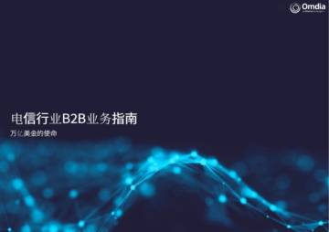 2025年电信行业B2B业务指南：万亿美金的使命.pdf