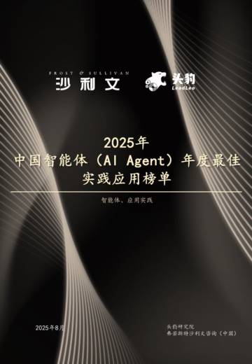 2025年中国AI Agent（智能体）最佳实践应用榜单.pdf