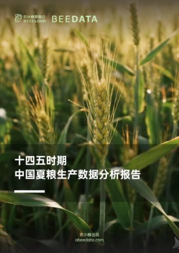 十四五时期中国夏粮生产数据分析报告.pdf