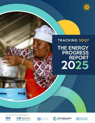 2025年能源进展报告（英文）.pdf