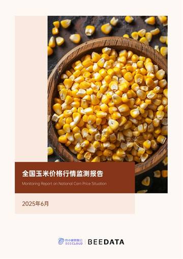 2025年全国玉米价格行情监测报告.pdf