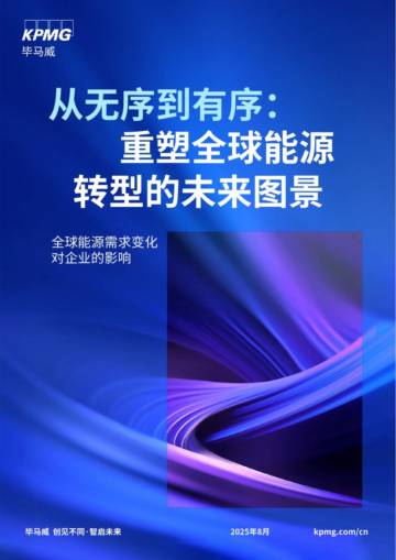 2025年从无序到有序：重塑全球能源转型的未来图景报告.pdf
