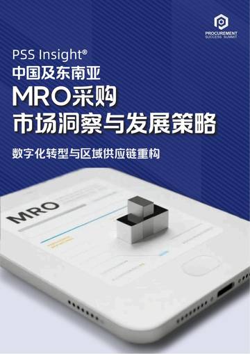 2025年中国与东南亚MRO采购市场洞察与发展策略报告.pdf