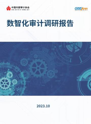 中国数智化审计调研报告.pdf