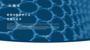 2025年新型功能材料行业发展白皮书.pdf